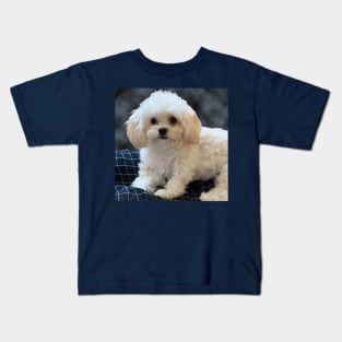 Maltipoo Love. Beautiful little dog with long silky white hair. Kids T-Shirt